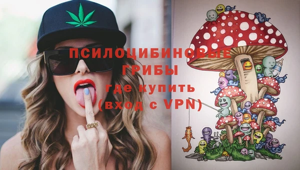 МДПВ Аркадак