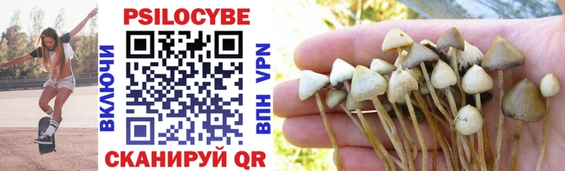 Купить где  Нальчик  Галлюциногенные грибы Magic Shrooms 
